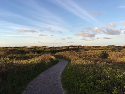 Ein Pflastersteinweg durch die Graslandschaft