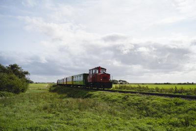 Die bunte Inselbahn auf dem Weg nach Langeoog durch grüne Natur