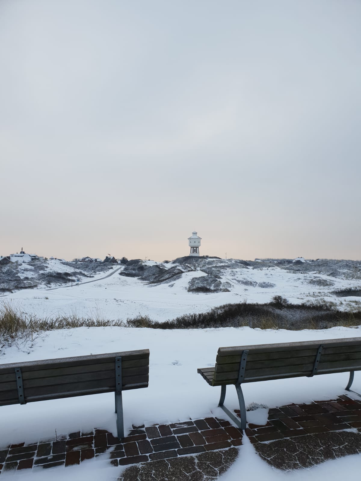 zwei Bänke in der Winterlandschaft in Langeoog mit Blick auf den Wasserturm